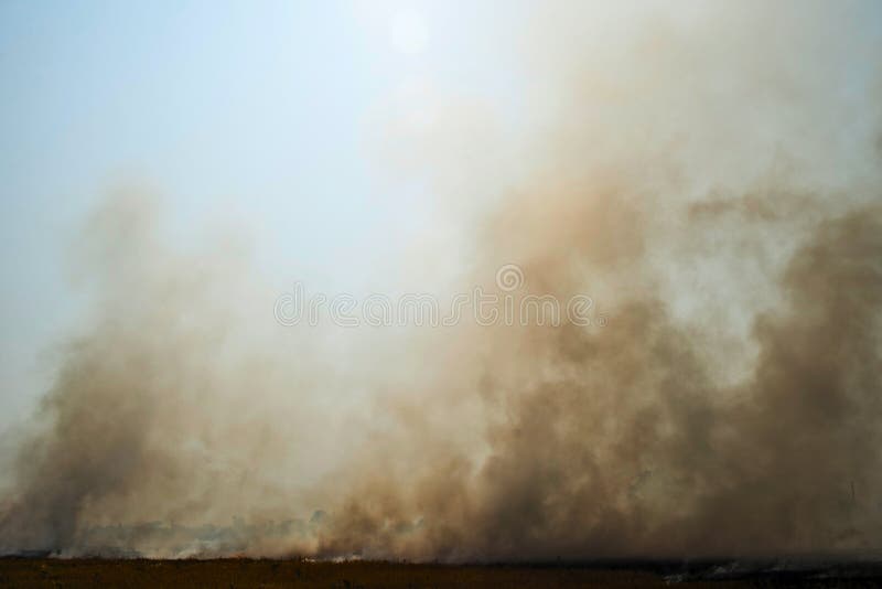 Fumo denso que aumenta de um fogo imagens de stock Fumo denso que aumenta de um fogo imagens de stock
