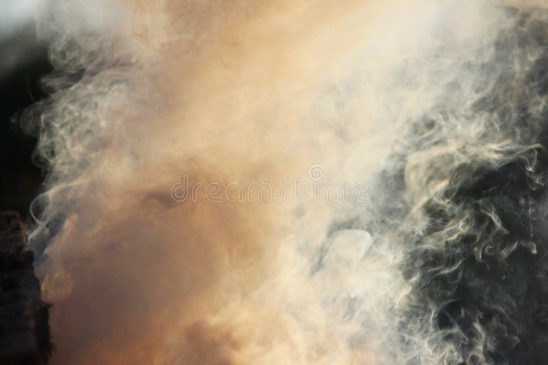 Fumée blanche du feu où les conseils et la sciure humides se trouvent images libres de droits Fumée blanche du feu où les conseils et la sciure humides se trouvent images libres de droits