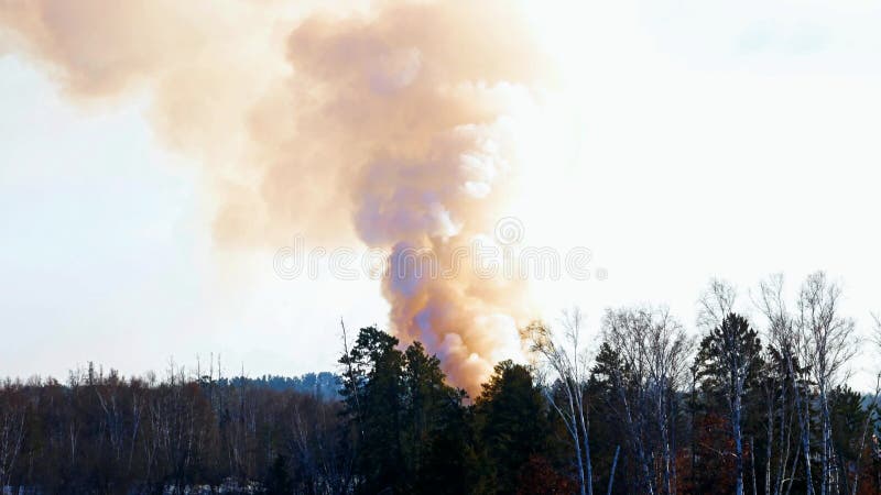 Fumée se soulevant d'un feu commandé à un centre d'enfouissement des déchets en hiver