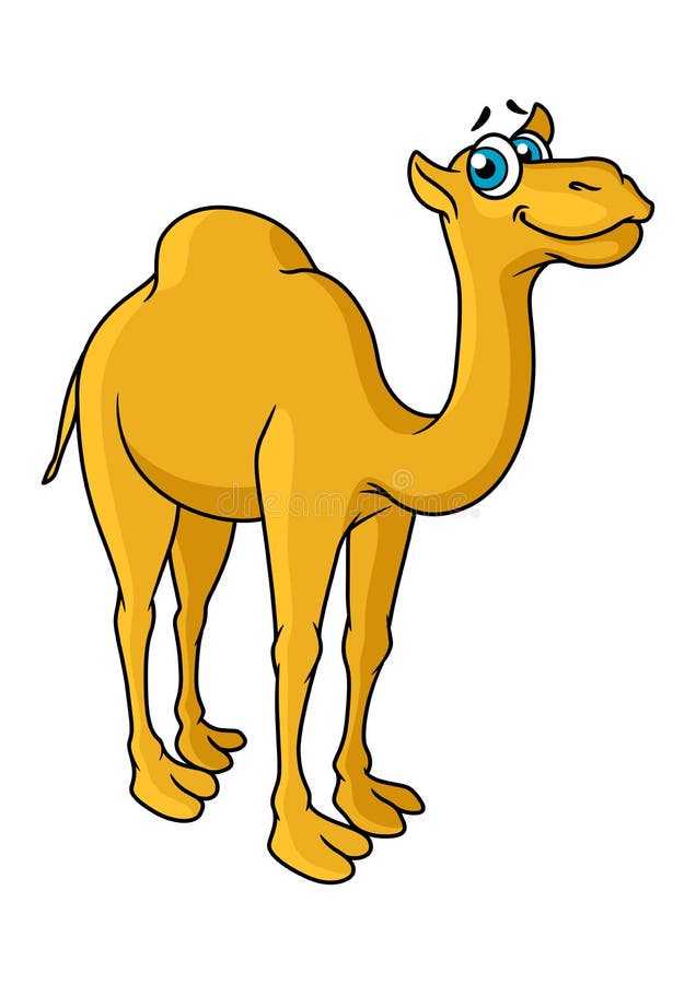 Fun Cartoon Camel Animal Character Stock Vector - Illustration of culture,  safari: 51779559