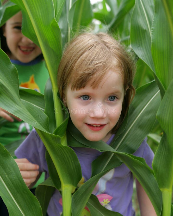 Fun in the corn field