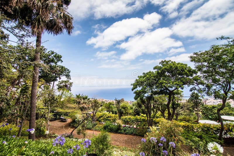 Funchal, Madeira - julio de 2018 El jardín botánico famoso en Funchal, isla de Madeira, Portugal imagenes de archivo Funchal, Madeira - julio de 2018 El jardín botánico famoso en Funchal, isla de Madeira, Portugal imagenes de archivo