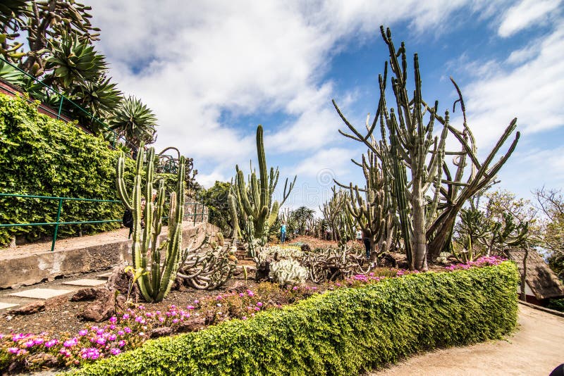 Funchal, Madeira - July, 2018. The famous botanical garden in Funchal, Madeira island, Portugal