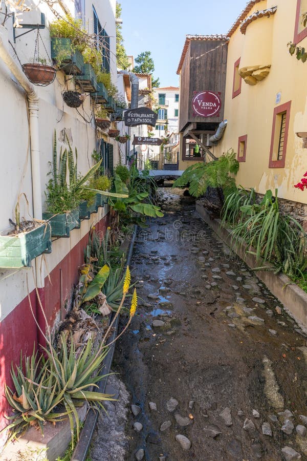 Funchal, Madeira, Portugal - 27. 03. 2025: Droge rivierbedding in Funchal, Madeira, Portugal royalty-vrije stock foto