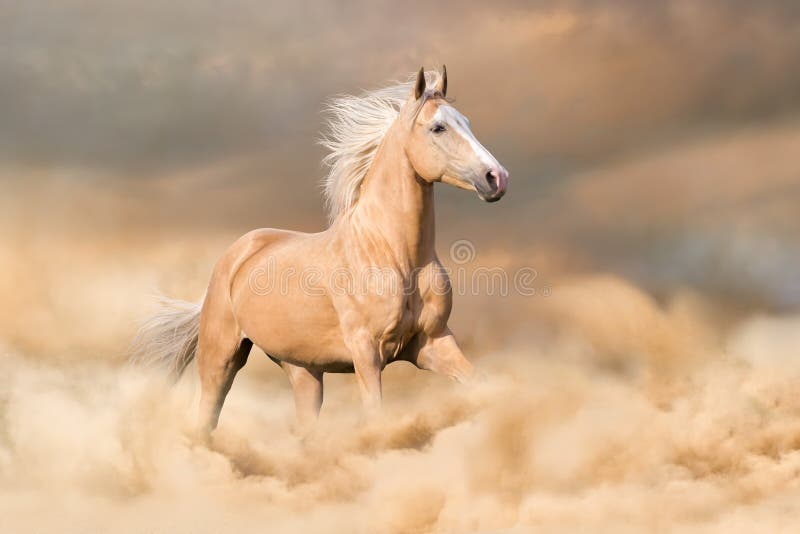Funcionamiento del caballo imagenes de archivo