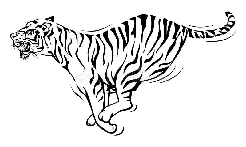 Funcionamiento del tigre libre illustration Funcionamiento del tigre libre illustration