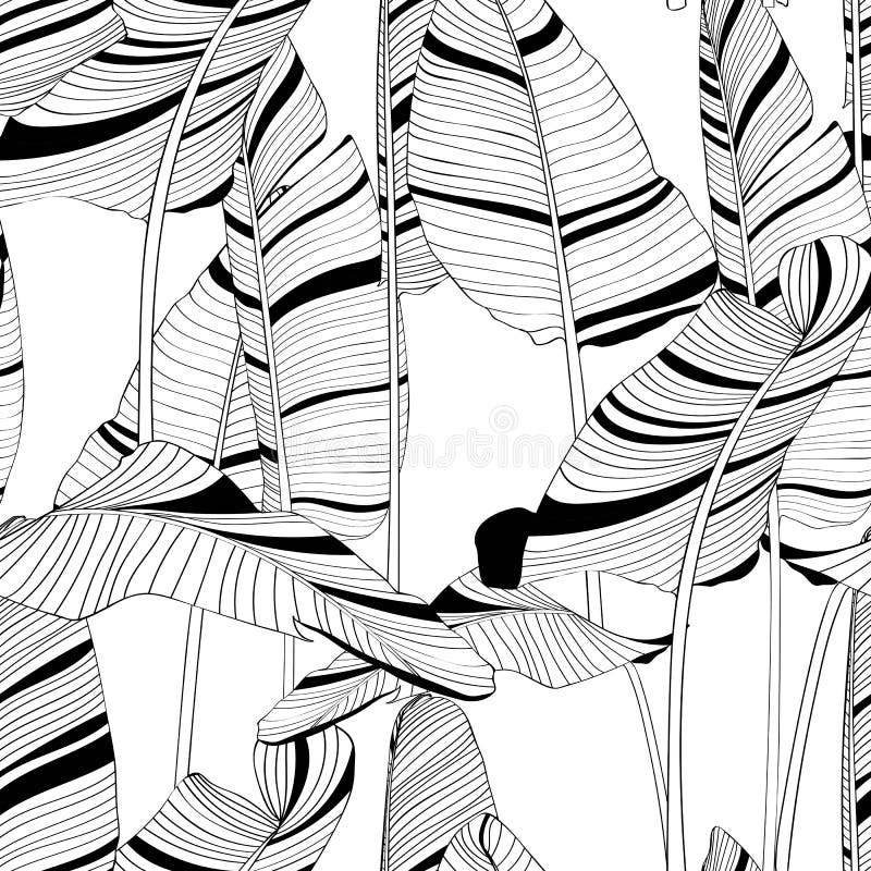 Fundal cu foi de banane fără sudură. alb-negru cu ilustrație grafică cu linie de desen. royalty free illustration