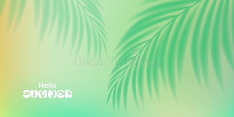 Fundal exotic de vară. Frunze de palmier. Frunze tropicale. Design pentru tapet de banner de copertă pentru carduri. Abstract moal stock illustration