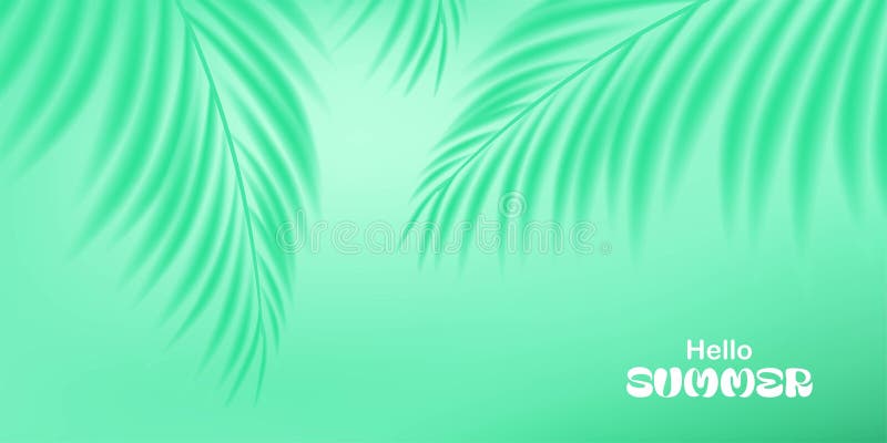 Fundal exotic de vară. Frunze de palmier. Frunze tropicale. Design pentru tapet de banner de copertă pentru carduri. Abstract moal royalty free illustration