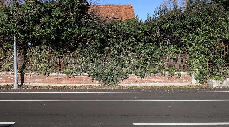 Gard de cărămizi uzat cu o grilă metalică ruginită în partea de sus. Buruieni și acoperișul unei case abandonate în fundal, stradă stock photography
