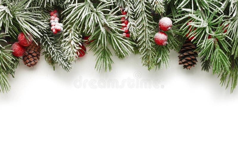 Fundal ramuri de brad de Crăciun stock photography