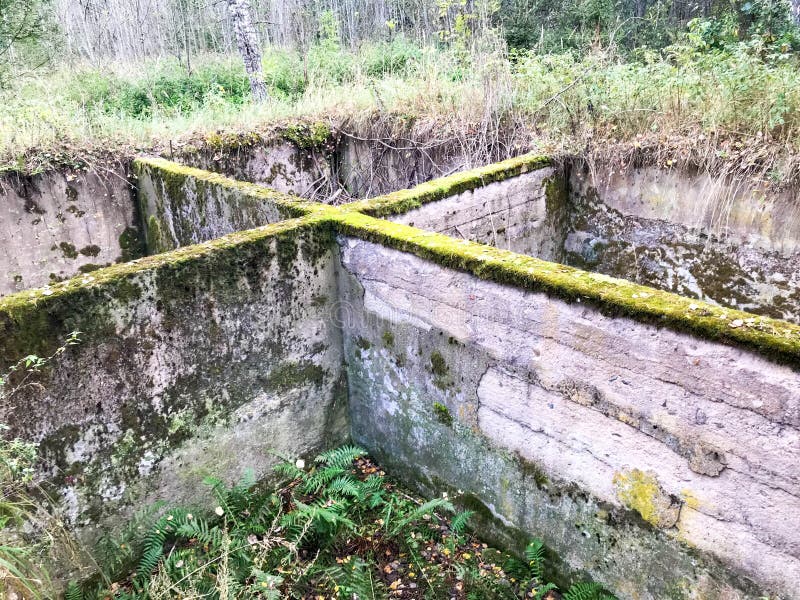 Fundação subterrânea inacabado do cimento concreto velho do cimento de uma construção arruinada coberto de vegetação com o musgo foto de stock Fundação subterrânea inacabado do cimento concreto velho do cimento de uma construção arruinada coberto de vegetação com o musgo foto de stock
