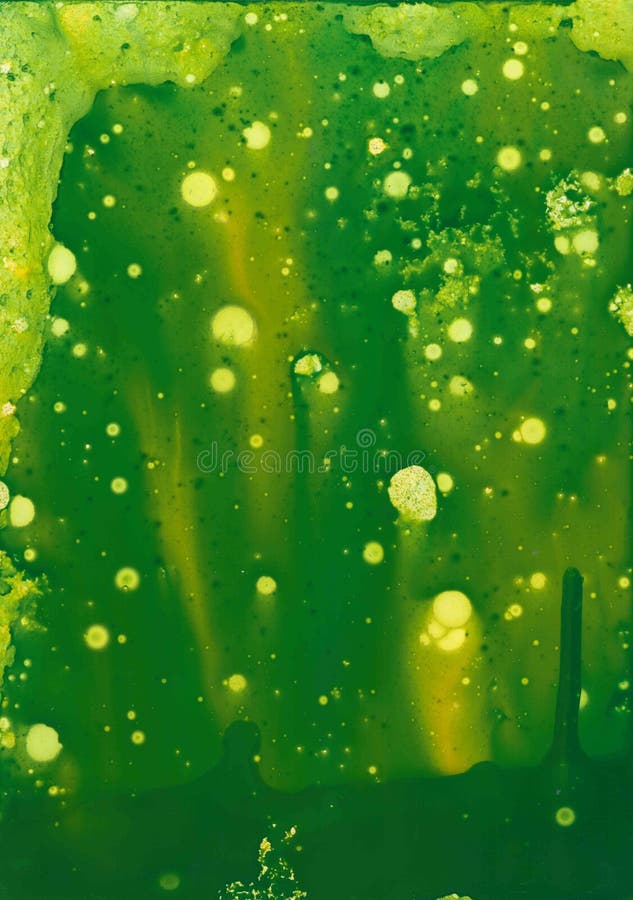 Fundo acrílico da pintura do inc da aquarela verde abstrata imagens de stock royalty free Fundo acrílico da pintura do inc da aquarela verde abstrata imagens de stock royalty free