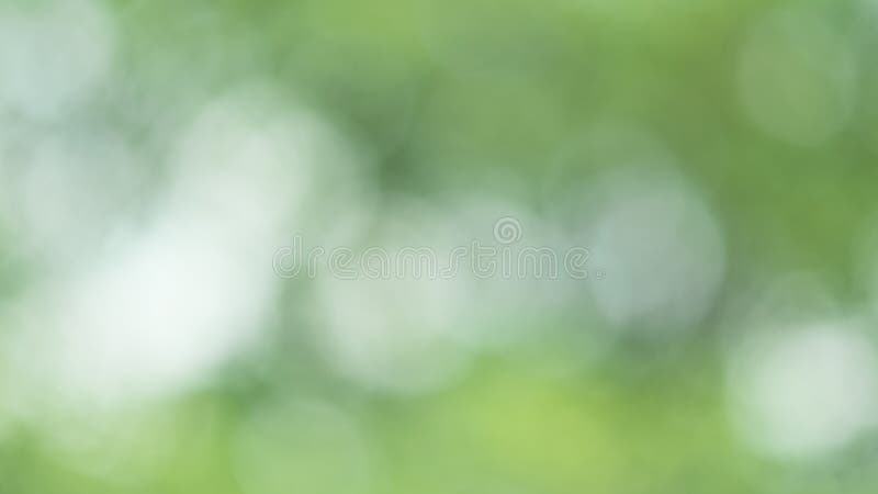 Fundo borrado verde foto de stock Fundo borrado verde foto de stock