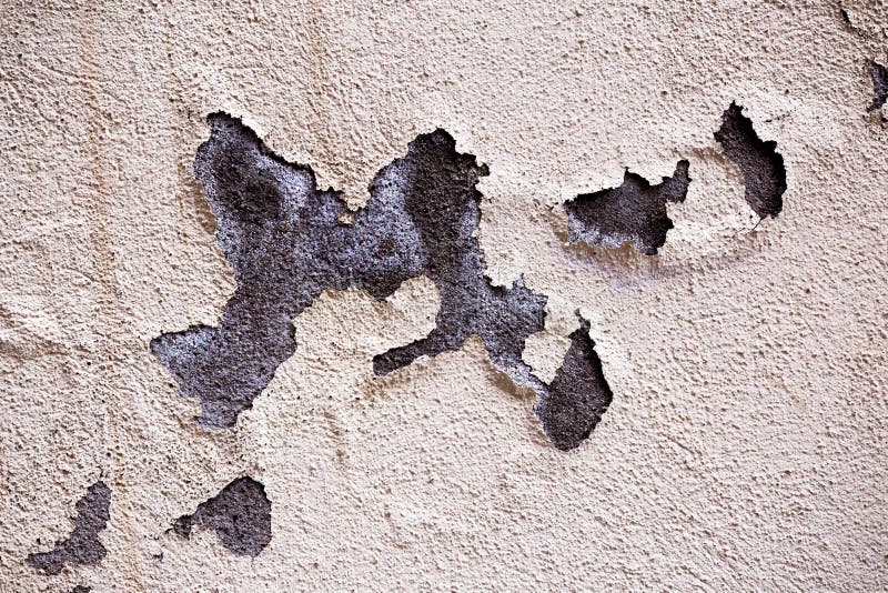 Fundo branco da parede fotos de stock