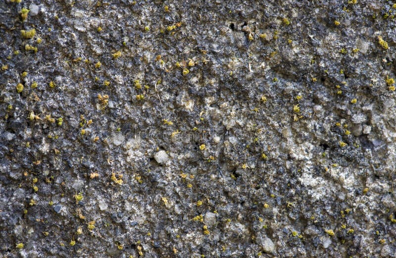 Muro De Pedra Rústica Para Textura Foto de Stock - Imagem de cimento,  quadro: 219309958