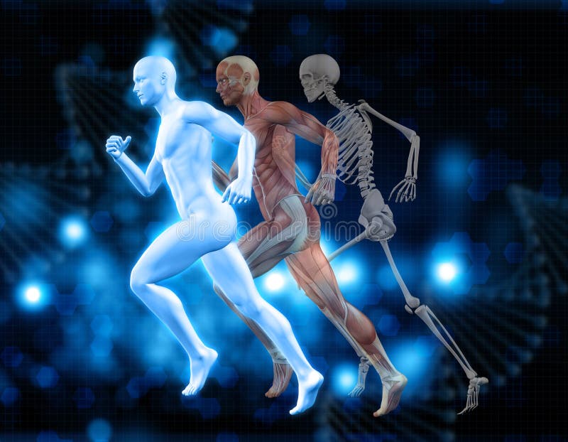 fundo 3D médico com figura masculina na pose de corrida ilustração royalty free fundo 3D médico com figura masculina na pose de corrida ilustração royalty free