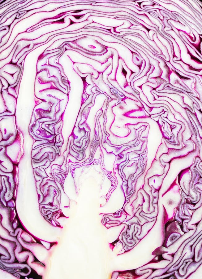 Fundo da couve vermelha fotos de stock