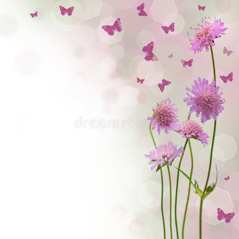 Fundo da flor - beira floral foto de stock Fundo da flor - beira floral foto de stock