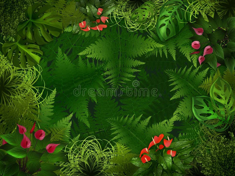 Fundo da floresta da noite ilustração stock Fundo da floresta da noite ilustração stock