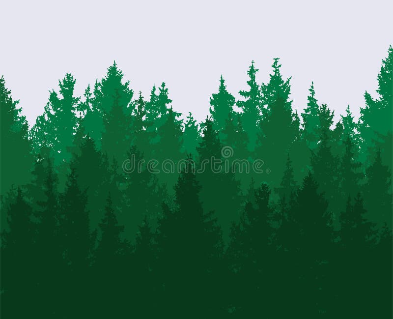 Fundo da floresta madeiras verdes da mola, paisagem da natureza ilustração do vetor Fundo da floresta madeiras verdes da mola, paisagem da natureza ilustração do vetor
