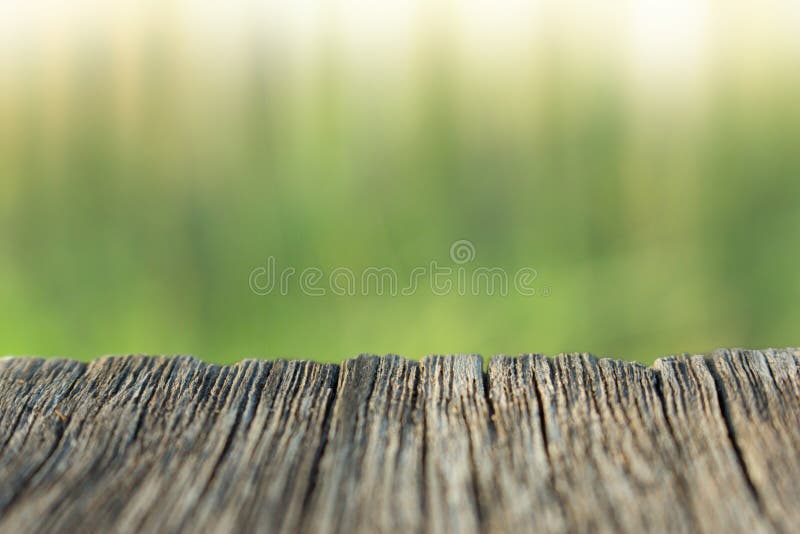 Fundo da madeira e da natureza do borr?o imagens de stock Fundo da madeira e da natureza do borr?o imagens de stock