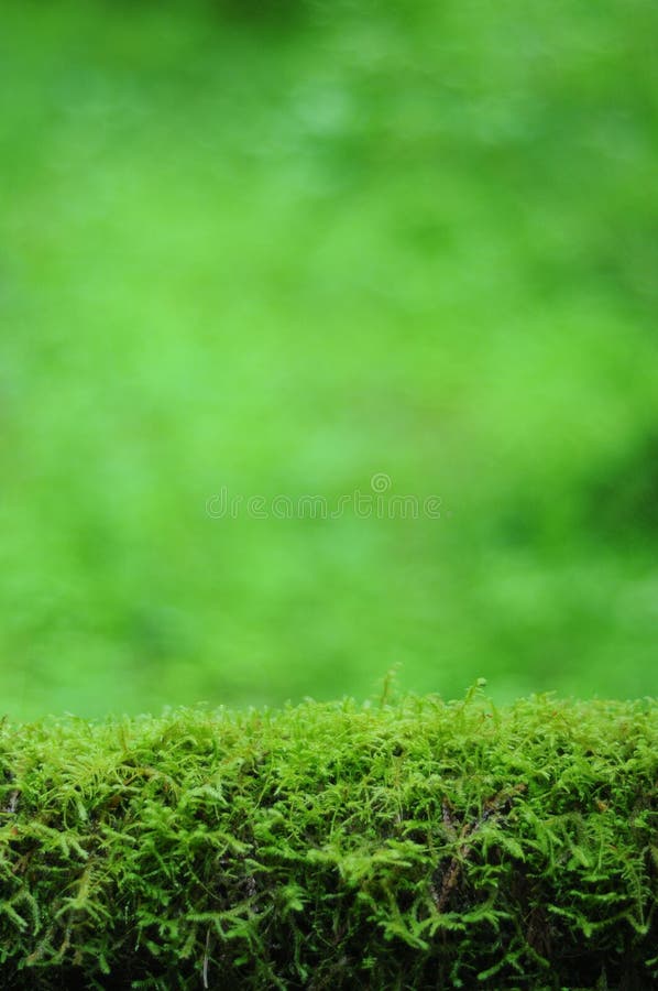 Fundo da natureza imagem de stock Fundo da natureza imagem de stock