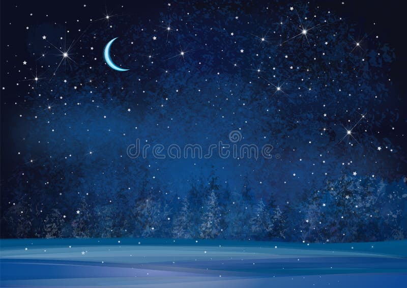 Fundo da noite do país das maravilhas do inverno do vetor ilustração royalty free Fundo da noite do país das maravilhas do inverno do vetor ilustração royalty free