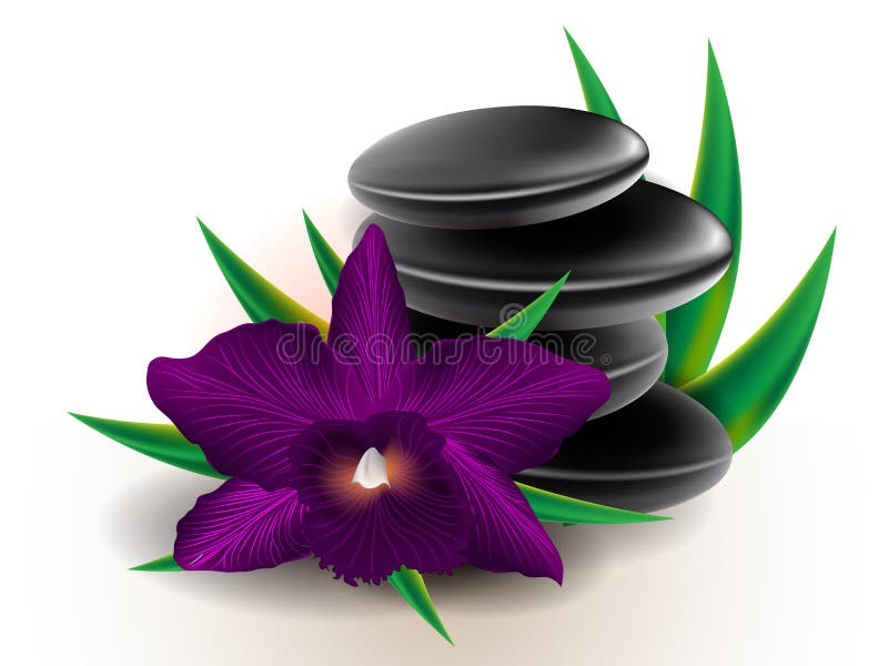 Fundo da orquídea de Cattleya ilustração stock Fundo da orquídea de Cattleya ilustração stock