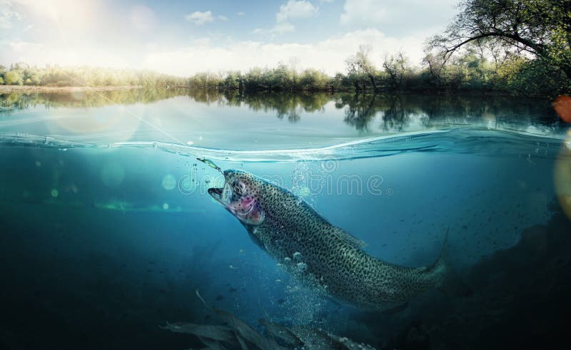 Fundo de pesca imagem de stock