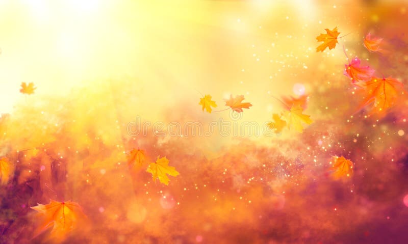 Fundo da queda Folhas coloridas do outono