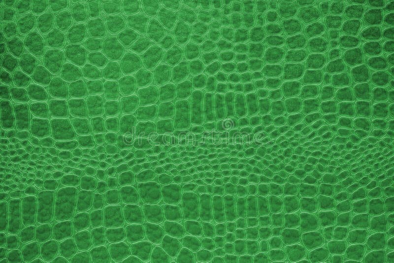Fundo da textura da pele de serpente verde imagens de stock royalty free Fundo da textura da pele de serpente verde imagens de stock royalty free