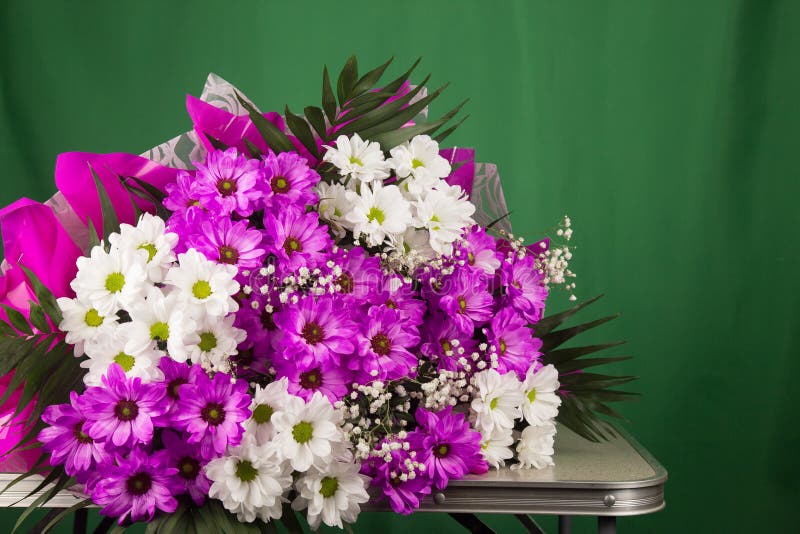 Fundo das flores cor-de-rosa, sinal da primavera foto de stock