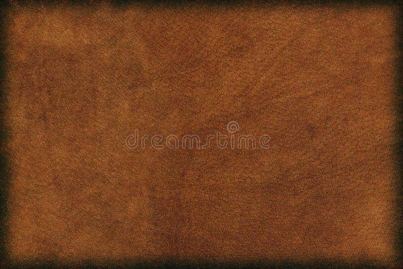 Fundo de Couro imagens de stock