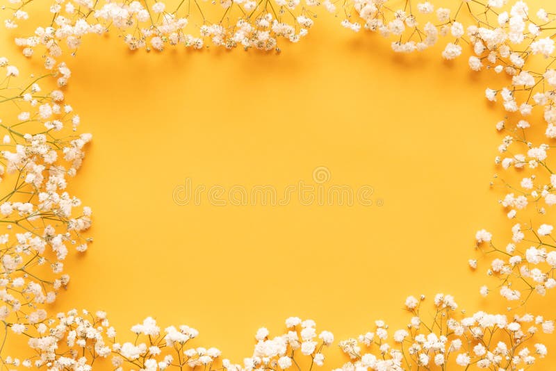 Fundo de papel amarelo brilhante com as flores brancas pequenas macias, conceito bem-vindo da mola Dia de mães feliz, cartão do d