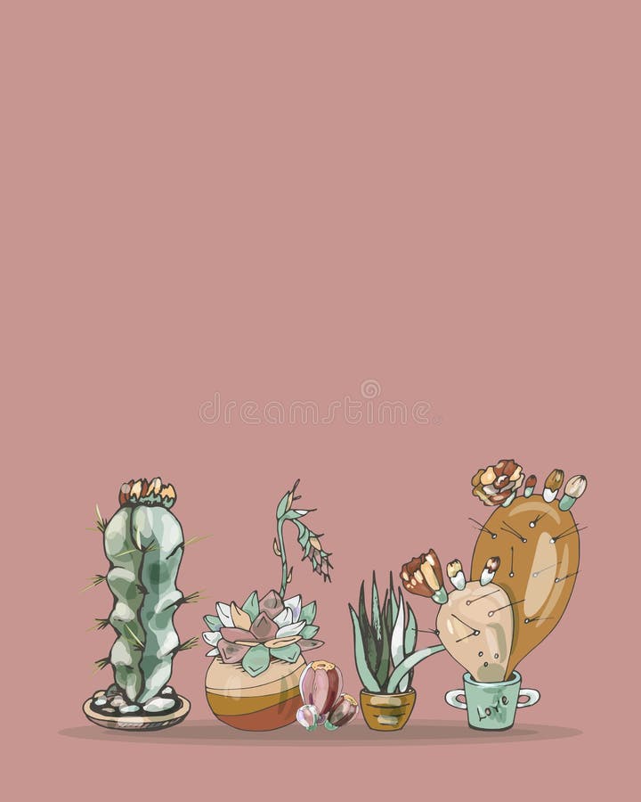 Conjunto De Succultos De Cacto De Desenho Animado Ilustração do Vetor -  Ilustração de potenciômetros, méxico: 209144304