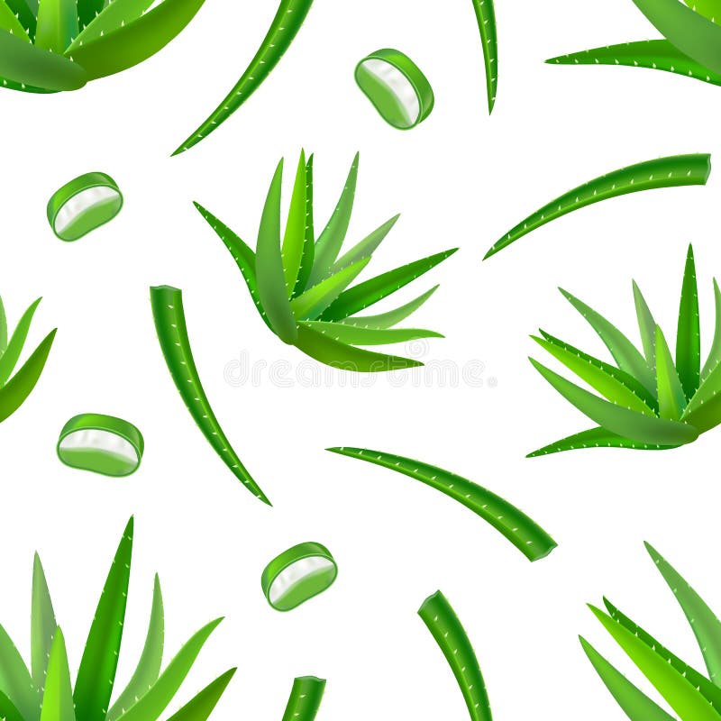 Fundo detalhado realístico de Vera Green Plant Seamless Pattern do aloés Vetor ilustração royalty free Fundo detalhado realístico de Vera Green Plant Seamless Pattern do aloés Vetor ilustração royalty free