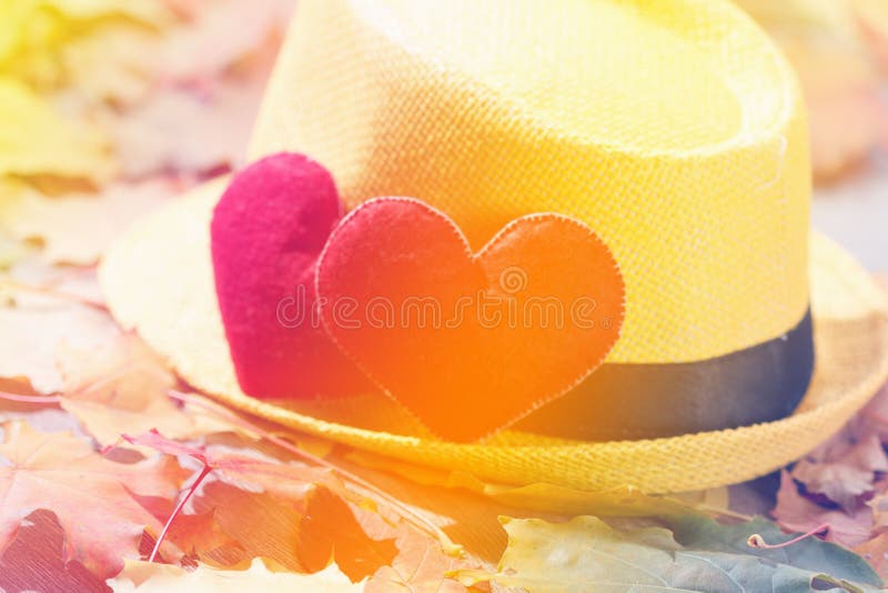Fundo do dia de Valentim Coração dois nas folhas Conceito do amor fotografia de stock Fundo do dia de Valentim Coração dois nas folhas Conceito do amor fotografia de stock