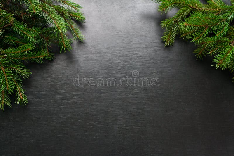 Fundo do feriado do Natal e do ano novo feliz com o abeto vermelho natural do abeto, no fundo preto, conceito do cartão do invern fotografia de stock Fundo do feriado do Natal e do ano novo feliz com o abeto vermelho natural do abeto, no fundo preto, conceito do cartão do invern fotografia de stock