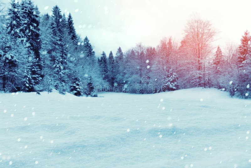 Fundo do inverno do Natal com neve e árvores