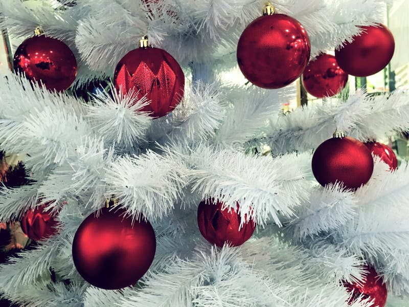 Fundo do Natal com árvore do White Christmas e as bolas vermelhas Ramos do abeto e das decorações foto de stock Fundo do Natal com árvore do White Christmas e as bolas vermelhas Ramos do abeto e das decorações foto de stock