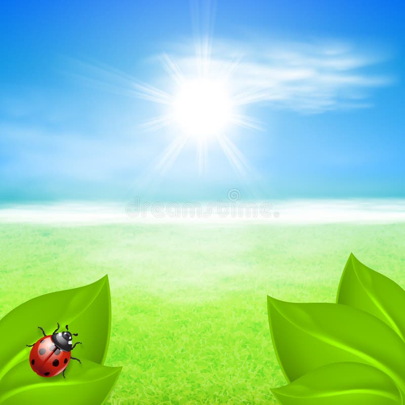 Sunny background with green grass and ladybird. EPS10 vector. Sunny background with green grass and ladybird. EPS10 vector.