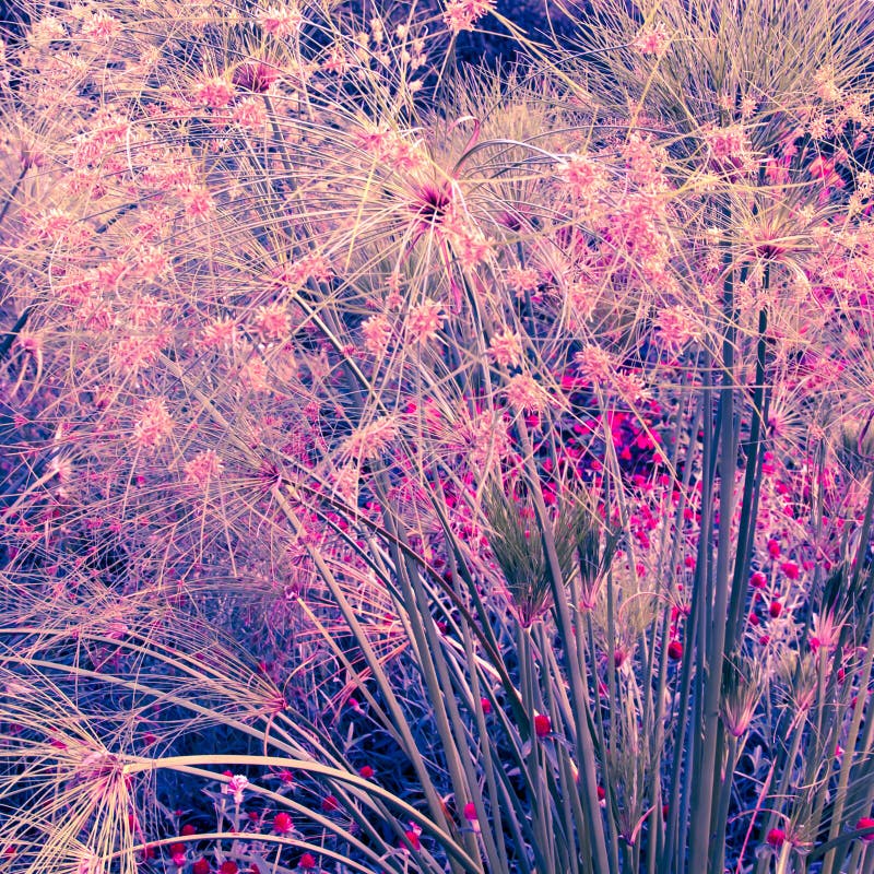 Fundo floral artístico foto de stock royalty free