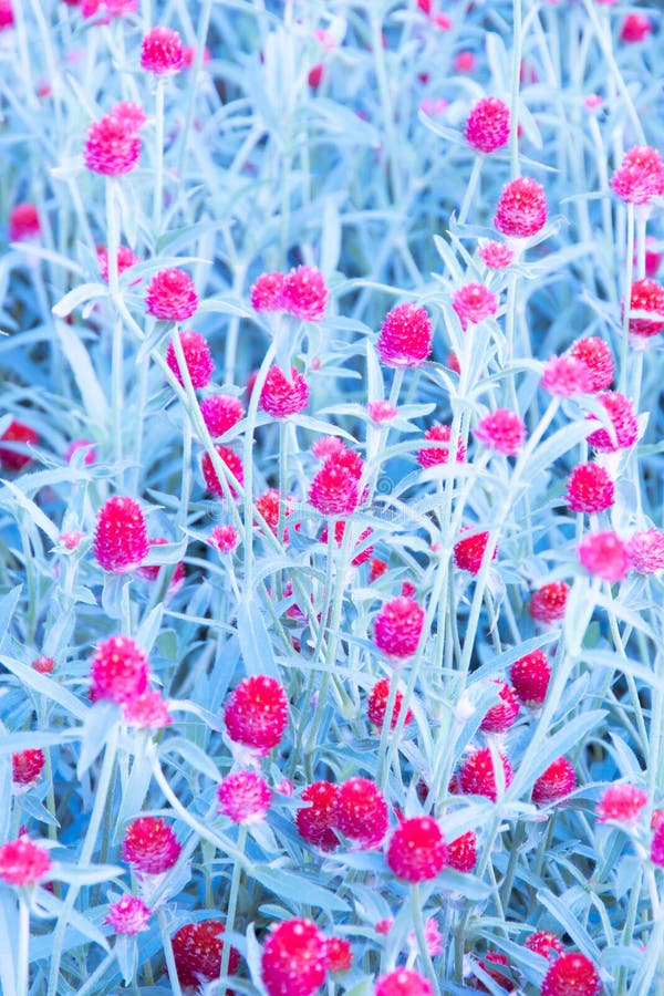 Fundo floral artístico imagem de stock