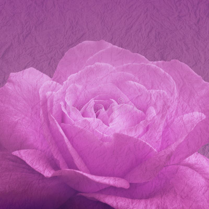 Fundo floral da arte com flor cor-de-rosa fotos de stock royalty free