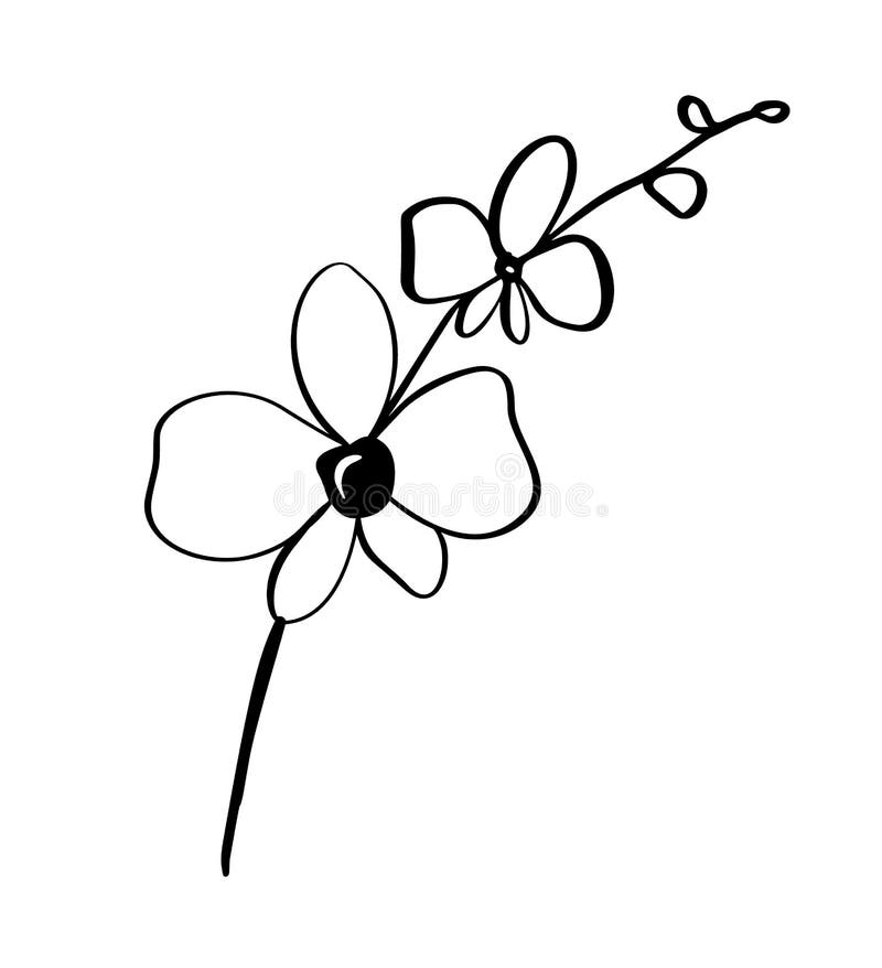 Fundo floral do vetor monocromático bonito com ramo da orquídea com as flores no estilo gráfico Logotipo do ícone da ilustração p ilustração do vetor Fundo floral do vetor monocromático bonito com ramo da orquídea com as flores no estilo gráfico Logotipo do ícone da ilustração p ilustração do vetor