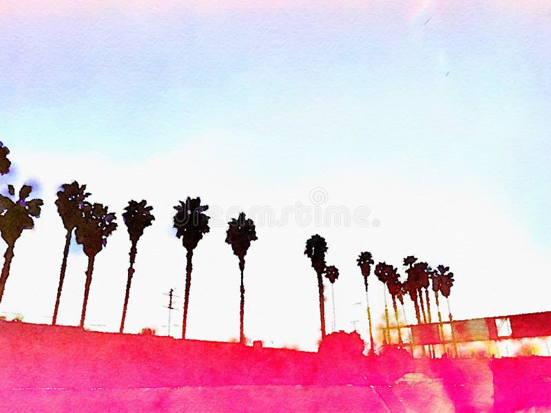 California Palm trees Los Angeles pink graphic watercolor background. California Palm trees Los Angeles pink graphic watercolor background