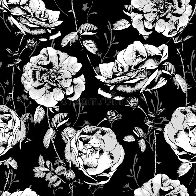 Fundo sem emenda floral preto e branco ilustração royalty free Fundo sem emenda floral preto e branco ilustração royalty free