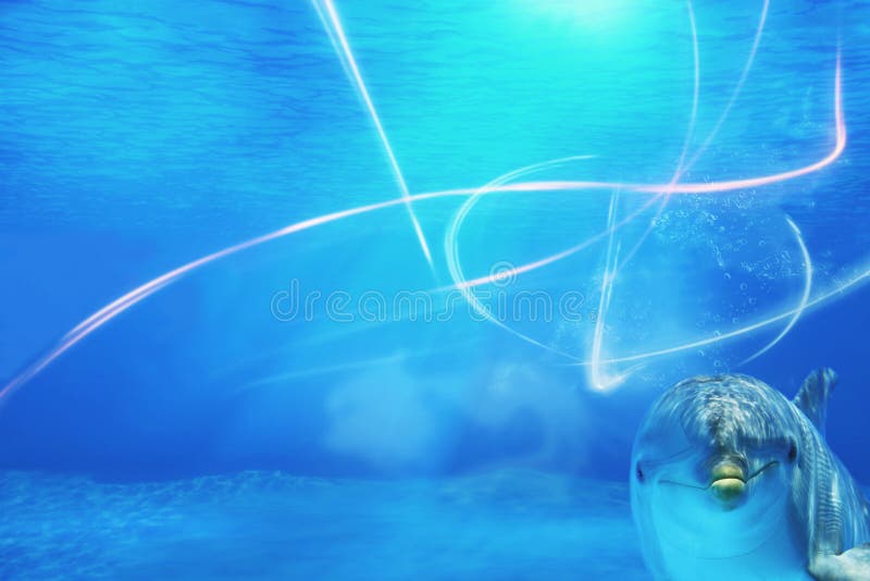 Fundo subaquático com golfinho imagens de stock royalty free Fundo subaquático com golfinho imagens de stock royalty free