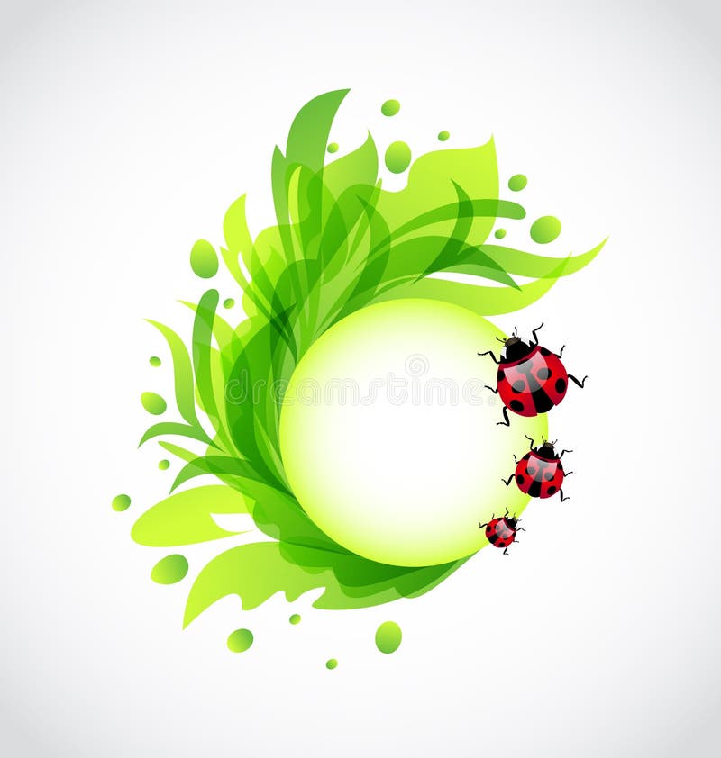 Fundo transparente floral de Eco com ladybugs ilustração stock Fundo transparente floral de Eco com ladybugs ilustração stock